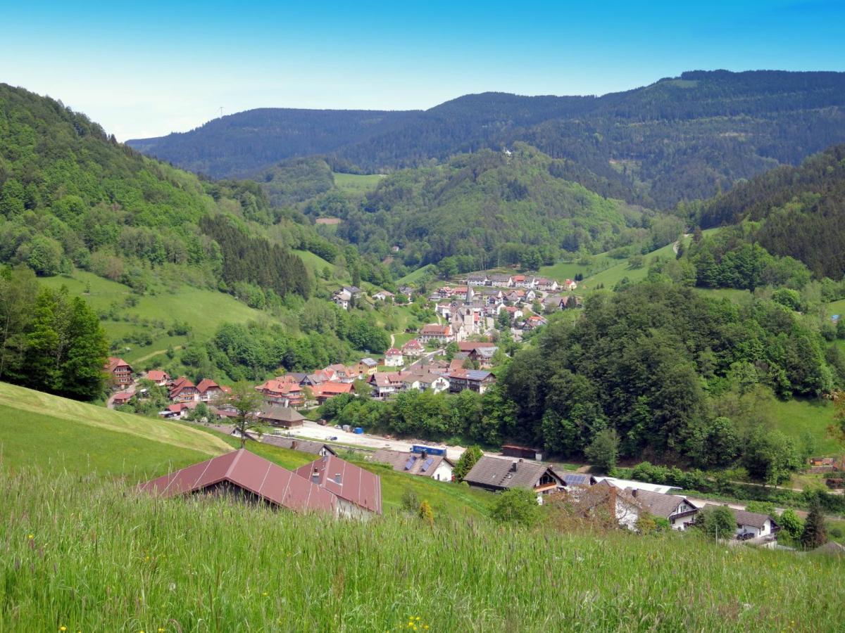 Am Doettelbach Apartment Bad Peterstal-Griesbach Exterior foto