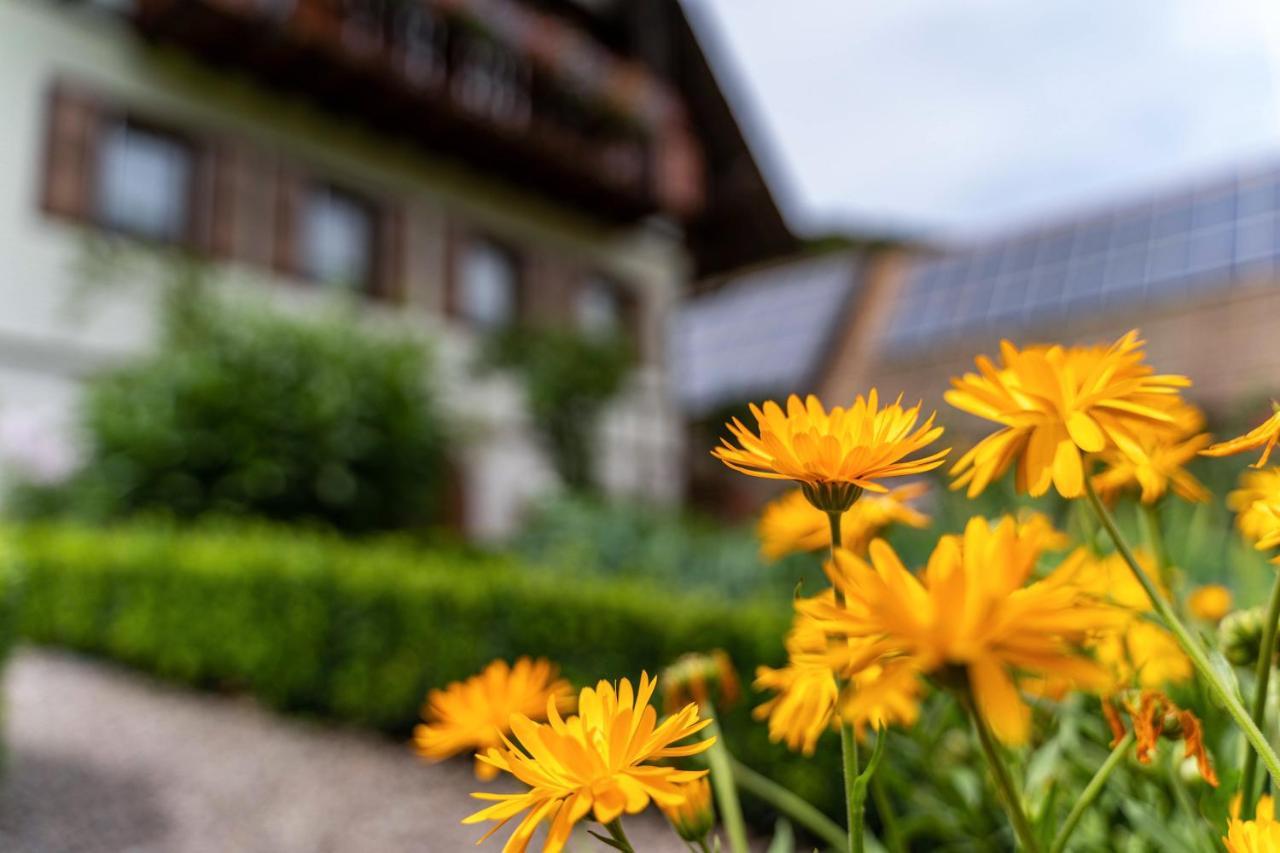 Am Doettelbach Apartment Bad Peterstal-Griesbach Exterior foto