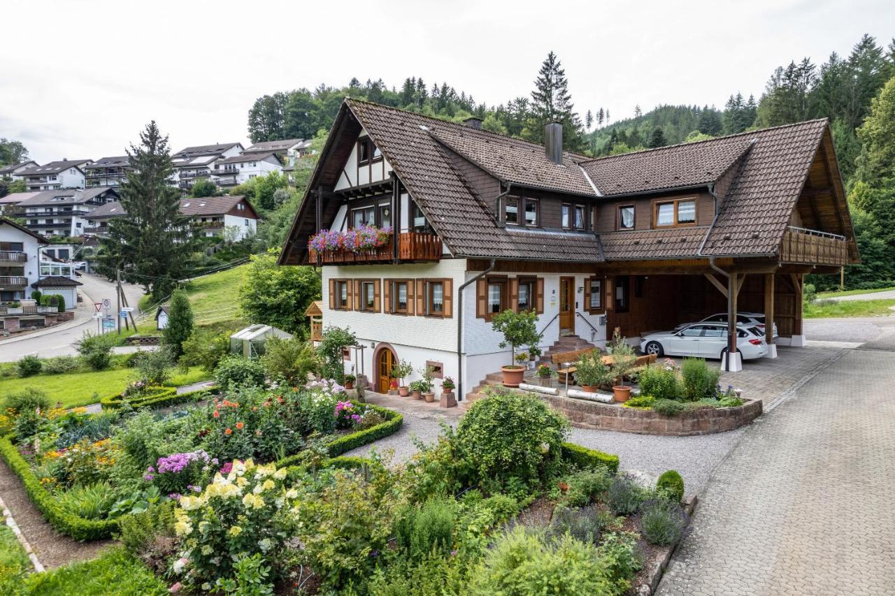 Am Doettelbach Apartment Bad Peterstal-Griesbach Exterior foto