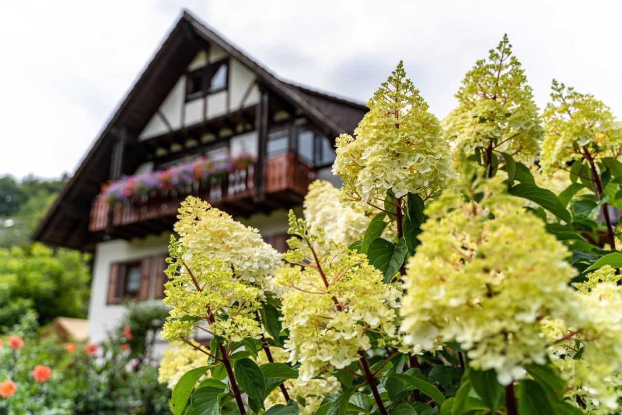 Am Doettelbach Apartment Bad Peterstal-Griesbach Exterior foto