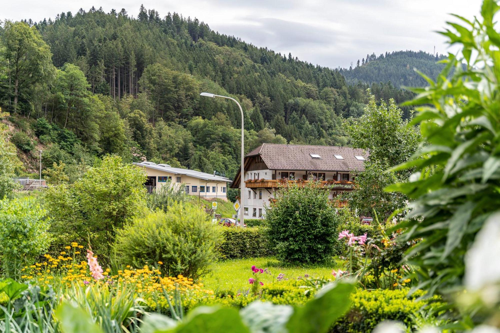Am Doettelbach Apartment Bad Peterstal-Griesbach Exterior foto